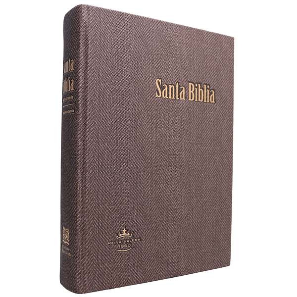Biblia Reina Valera 1960 Grande Letra Gigante Tapa Dura Café RVR083cLGiPJR MN 