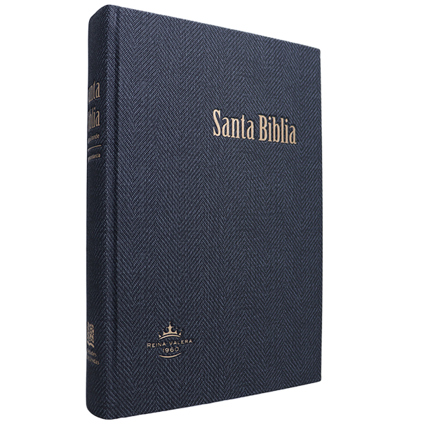 Biblia Reina Valera 1960 Grande Letra Gigante Tapa Dura Gris RVR083cLGiPJR MN 