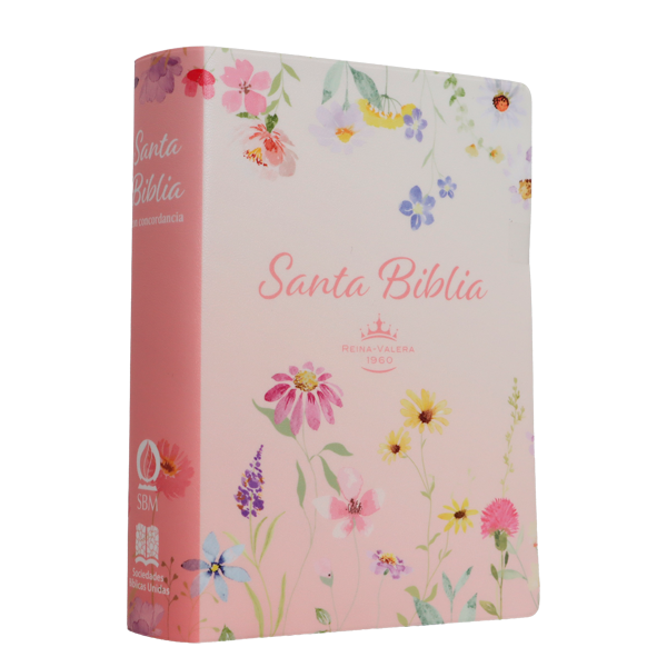Biblia Reina Valera 1960 Chica Letra Grande 11 pts Vinil RVR042cPJR Lustre 