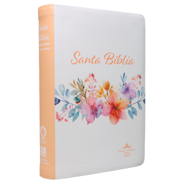 Biblia Reina Valera 1960 Mediana Letra Gigante 14 pts Imitación Piel PU RVR065cLGiPJR Amaranth 