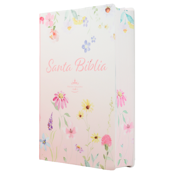 Biblia Reina Valera 1960 Mediana Letra Gigante 14 pts Vinil  RVR062cLGiPJR Lustre 