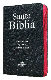 [7899938401156] Biblia Reina Valera 1960 Mediana Letra Grande Mezclilla Rosa [RVR064CLGPJRZTIA]