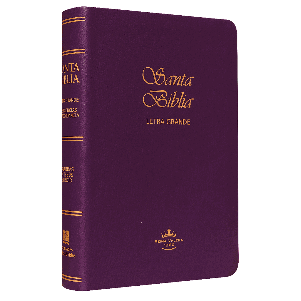 Biblia Reina Valera 1960 Mediana Letra Grande Imitación Piel Morado