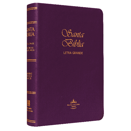[9788941296485] Biblia Reina Valera 1960 Mediana Letra Grande Imitación Piel Morado [RVR065CLG]