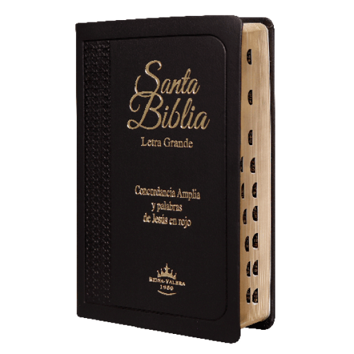 [7899938406946] Biblia Reina Valera 1960 Mediana Letra Grande Imitación Piel Negro [RVR055CLGPJRTI]