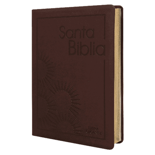[9789587454666] Biblia Reina Valera 1960 Grande Letra Gigante Imitación Piel Vino [RVR085cLGiPJR]