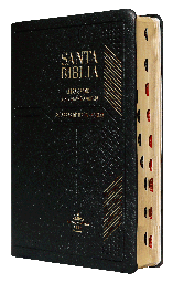 [7899938410790] Biblia Reina Valera 1960 Mediana Letra Grande Vinil Negro [RVR052CLGPJRTI]