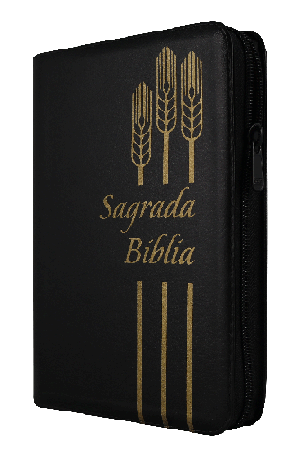 [9789587453263] Biblia Dios Habla Hoy Mediana Letra Mediana Imitación Piel Negro [DHH55DKZLG]