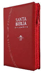 [7899938413371] Biblia Reina Valera 1960 Mediana Letra Gigante Imitación Piel Rojo [RVR066cLSGiPJRZTI]