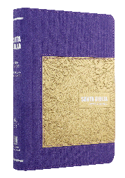 [9788941296768] Biblia Reina Valera 1960 Mediana Letra Grande Imitación Piel Púrpura [RVR065CLGHI]