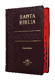 [7899938402771] Biblia Reina Valera 1960 Tamaño Bolsillo Letra Chica Vinil Vino [RVR022cLGTI]