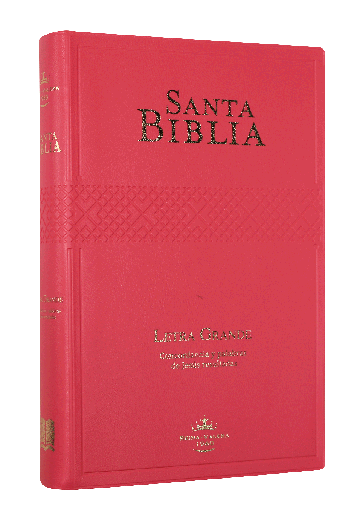 [9781598778717] Biblia Reina Valera 1960 Mediana Letra Grande Vinil Fucsia [RVR062cPJR]