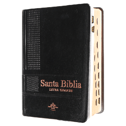 [7899938422137] Biblia Reina Valera 1960 Bolsillo Chica Letra Grande Vinil Negro [RVR.22cTILGPJR]