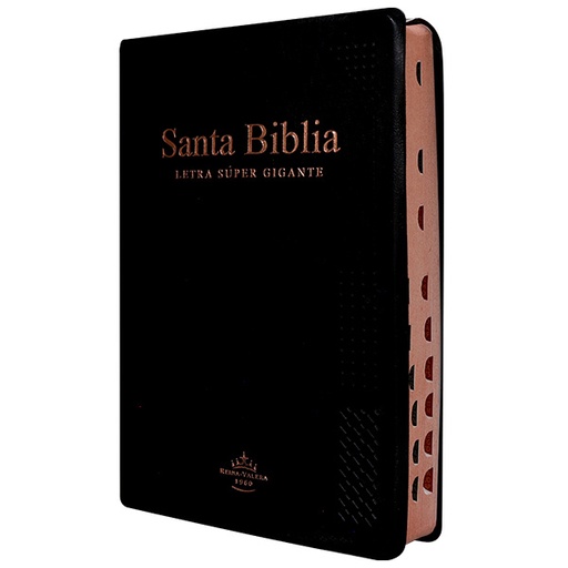 [7899938420423] Biblia Reina Valera 1960 Grande Letra Super Gigante Vinil Negra [RVR082cLSGiPJRTI]