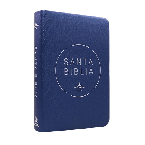 [7899938428115] Biblia Reina Valera 1960 Mediana Letra Grande PVC [RVR.062cLGPJR] 