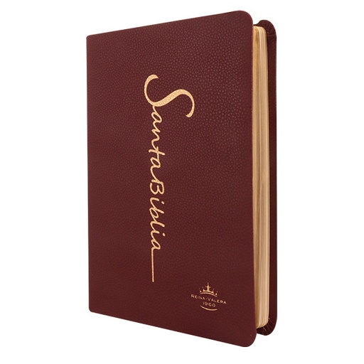 [9788941262138] Biblia Reina Valera 1960 Mediana Letra Grande Imitación Piel Vino [RVR065LG CV] 