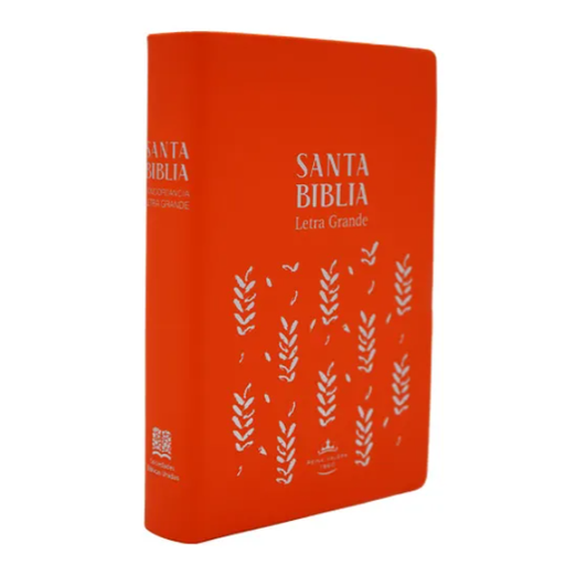 [9788941262022] Biblia Reina Valera 1960 Chica Letra Grande Vinil Anaranjado [RVR042cLG SR] 