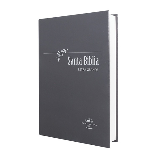 [9788941262145] Biblia Reina Valera 1960 Mediana Letra Grande Tapa Dura Gris [RVR063LG PY] 