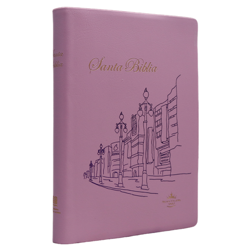 [9788941291985] Biblia Reina Valera 1960 Chica Letra Mediana Vinil Rosa [RVR042e] 