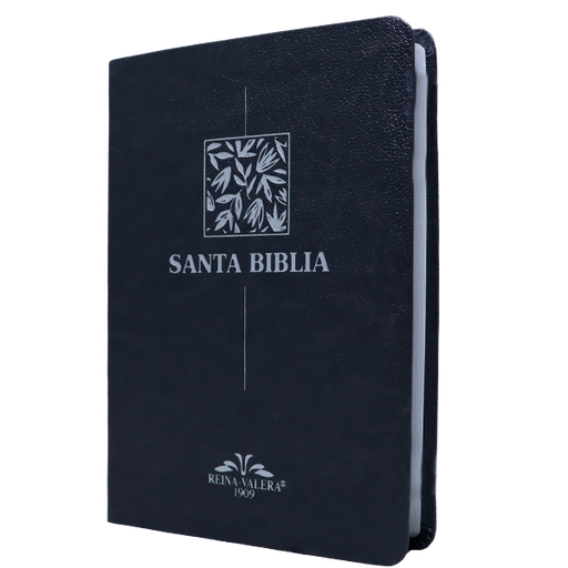 [9788941263456] Biblia Reina Valera 1909 Mediana Letra Chica Imitación Piel Gris VR055 SS 