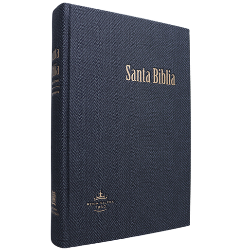 [9788941263630] Biblia Reina Valera 1960 Grande Letra Gigante Tapa Dura Gris RVR083cLGiPJR MN 