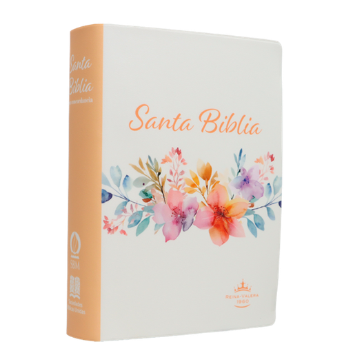 [9788941264521] Biblia Reina Valera 1960 Chica Letra Grande 11 pts Vinil RVR042cPJR Amaranth 