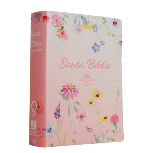 [9788941264538] Biblia Reina Valera 1960 Chica Letra Grande 11 pts Vinil RVR042cPJR Lustre 