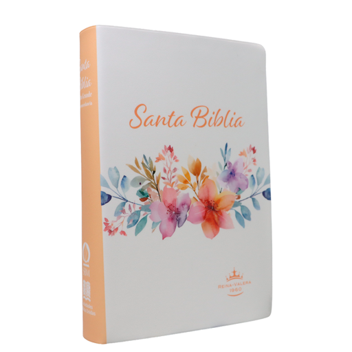 [9788941264637] Biblia Reina Valera 1960 Mediana Letra Gigante 14 pts Vinil RVR062cLGiPJR Amaranth 