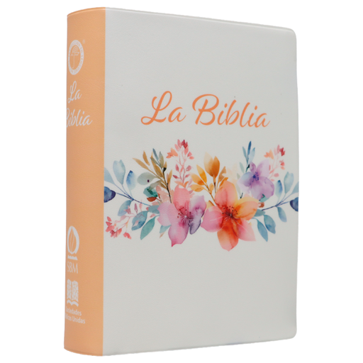 [9788941264842] Biblia Traducción Lenguaje Actual Chica Letra Grande 8 pts Vinil TLA042LG Amaranth 