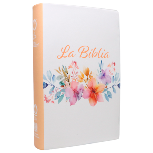 [9788941264965] Biblia Traducción Lenguaje Actual Mediana Letra Grande 11 pts Vinil  TLA062LG Amaranth 