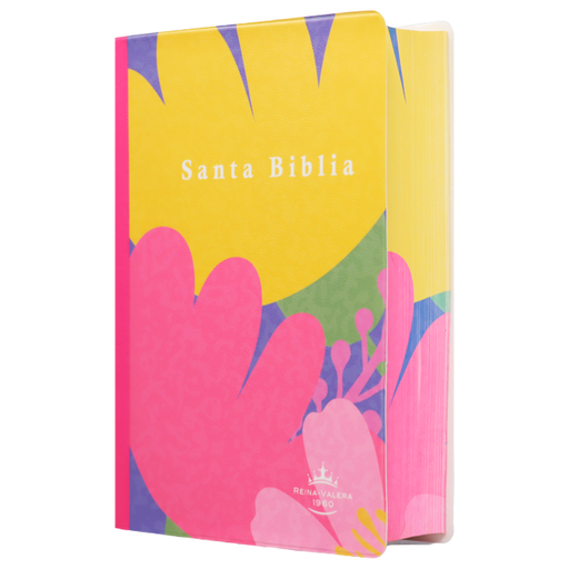 [9788941264583] Biblia Reina Valera 1960 Chica Letra Grande 11 pts Vinil  RVR042cPJR Lycoris 