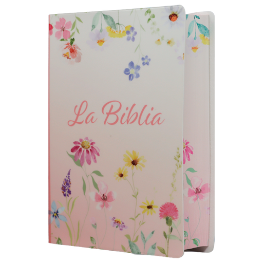 [9788941264859] Biblia Traducción Lenguaje Actual Chica Letra Grande 8 pts Vinil  TLA042LG Lustre 